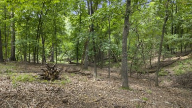 Looking for the perfect place to build near Grand Lake? This 0 on The Coves Golf Course in Oklahoma - for sale on GolfHomes.com, golf home, golf lot