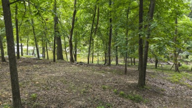 Looking for the perfect place to build near Grand Lake? This 0 on The Coves Golf Course in Oklahoma - for sale on GolfHomes.com, golf home, golf lot