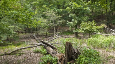 Looking for the perfect place to build near Grand Lake? This 0 on The Coves Golf Course in Oklahoma - for sale on GolfHomes.com, golf home, golf lot
