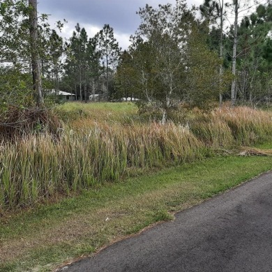 Come build your forever home on this one-half acre CANAL lot on Indian Lake Estates Golf and Country Club in Florida - for sale on GolfHomes.com, golf home, golf lot