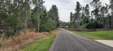 Come build your forever home on this one-half acre CANAL lot on Indian Lake Estates Golf and Country Club in Florida - for sale on GolfHomes.com, golf home, golf lot