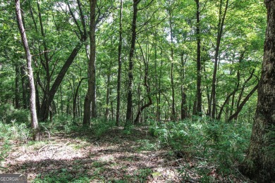 0.75 acre buildable lot on Disharoon Mountain with spectacular on Big Canoe Golf Club - Cherokee in Georgia - for sale on GolfHomes.com, golf home, golf lot