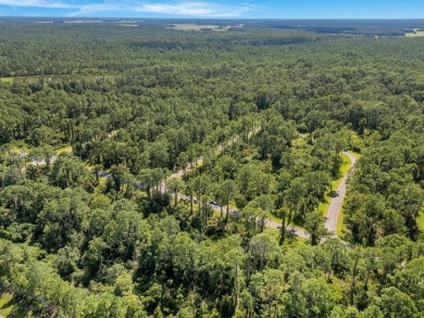 Your opportunity to build in beautiful Sebring! ?? This spacious on  in Florida - for sale on GolfHomes.com, golf home, golf lot