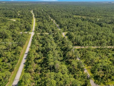 Your opportunity to build in beautiful Sebring! ?? This spacious on  in Florida - for sale on GolfHomes.com, golf home, golf lot