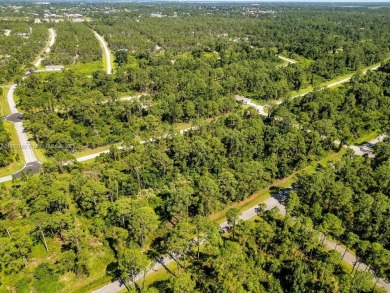 Your opportunity to build in beautiful Sebring! ?? This spacious on  in Florida - for sale on GolfHomes.com, golf home, golf lot