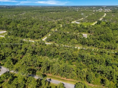Your opportunity to build in beautiful Sebring! ?? This spacious on  in Florida - for sale on GolfHomes.com, golf home, golf lot