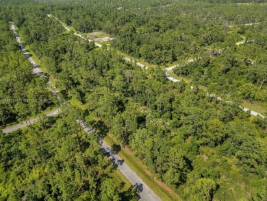Your opportunity to build in beautiful Sebring! ?? This spacious on  in Florida - for sale on GolfHomes.com, golf home, golf lot
