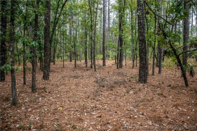 Build your dream home in the beautiful, gated community of on Deercroft Golf and Country Club in North Carolina - for sale on GolfHomes.com, golf home, golf lot