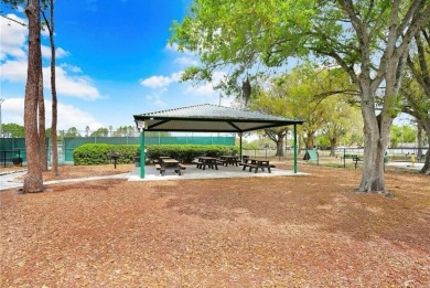 Welcome to 11567 Misty Isle Lane in Riverview, FL. This on Summerfield Crossing Golf Club in Florida - for sale on GolfHomes.com, golf home, golf lot