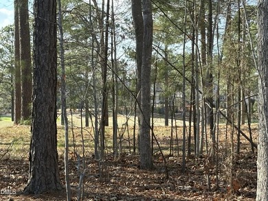 Beautiful custom home in the highly desirable Chapel Ridge on Chapel Ridge Golf Club in North Carolina - for sale on GolfHomes.com, golf home, golf lot