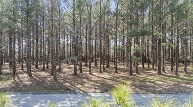 Welcome to River Landing, a premier gated community in Wallace on River Landing Golf Course in North Carolina - for sale on GolfHomes.com, golf home, golf lot