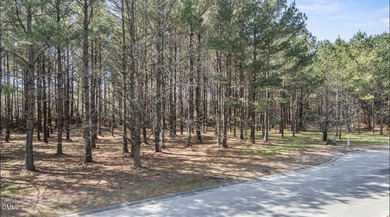 Welcome to River Landing, a premier gated community in Wallace on River Landing Golf Course in North Carolina - for sale on GolfHomes.com, golf home, golf lot