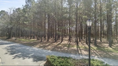 Welcome to River Landing, a premier gated community in Wallace on River Landing Golf Course in North Carolina - for sale on GolfHomes.com, golf home, golf lot