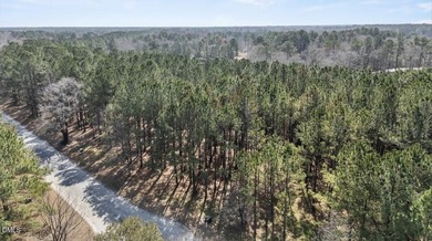 Welcome to River Landing, a premier gated community in Wallace on River Landing Golf Course in North Carolina - for sale on GolfHomes.com, golf home, golf lot