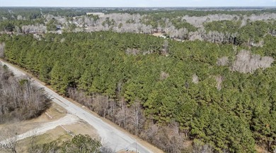 Welcome to River Landing, a premier gated community in Wallace on River Landing Golf Course in North Carolina - for sale on GolfHomes.com, golf home, golf lot