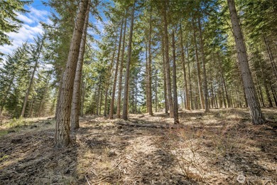 A truly amazing and unique property in Tumble Creek! The 1 on Suncadia Resort in Washington - for sale on GolfHomes.com, golf home, golf lot