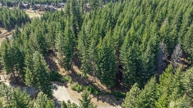 A truly amazing and unique property in Tumble Creek! The 1 on Suncadia Resort in Washington - for sale on GolfHomes.com, golf home, golf lot