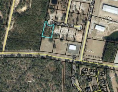 Check out this adorable homesite in Charles Towne Landing! It on Sapelo Hammock Golf Club in Georgia - for sale on GolfHomes.com, golf home, golf lot