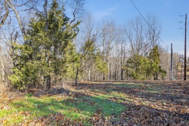 Ready for a new year where all the choices are truly yours?! on Kimberling City Golf Club in Missouri - for sale on GolfHomes.com, golf home, golf lot