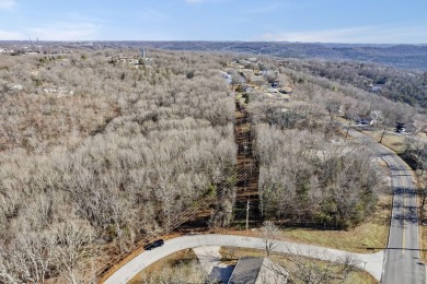Ready for a new year where all the choices are truly yours?! on Kimberling City Golf Club in Missouri - for sale on GolfHomes.com, golf home, golf lot