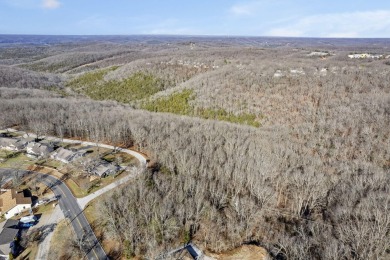 Ready for a new year where all the choices are truly yours?! on Kimberling City Golf Club in Missouri - for sale on GolfHomes.com, golf home, golf lot