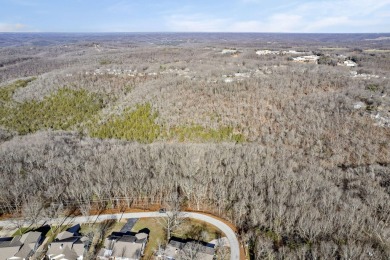 Ready for a new year where all the choices are truly yours?! on Kimberling City Golf Club in Missouri - for sale on GolfHomes.com, golf home, golf lot