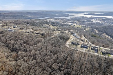 Ready for a new year where all the choices are truly yours?! on Kimberling City Golf Club in Missouri - for sale on GolfHomes.com, golf home, golf lot