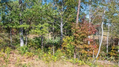 Don't miss this incredible opportunity to build your dream home on River Oaks Country Club in North Carolina - for sale on GolfHomes.com, golf home, golf lot