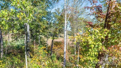 Don't miss this incredible opportunity to build your dream home on River Oaks Country Club in North Carolina - for sale on GolfHomes.com, golf home, golf lot
