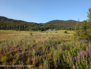 This Warm Creek building site in Teton Springs allows for a on Teton Springs Resort and Club in Idaho - for sale on GolfHomes.com, golf home, golf lot