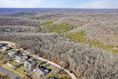 Ready for a new year where all the choices are truly yours?! on Kimberling City Golf Club in Missouri - for sale on GolfHomes.com, golf home, golf lot
