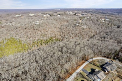 Ready for a new year where all the choices are truly yours?! on Kimberling City Golf Club in Missouri - for sale on GolfHomes.com, golf home, golf lot