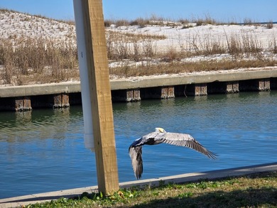 ATTENTION BUILDERS AND INVESTORS!! X FLOOD ZONE!! Great on  in Florida - for sale on GolfHomes.com, golf home, golf lot