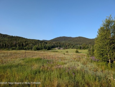 This Warm Creek building site in Teton Springs allows for a on Teton Springs Resort and Club in Idaho - for sale on GolfHomes.com, golf home, golf lot