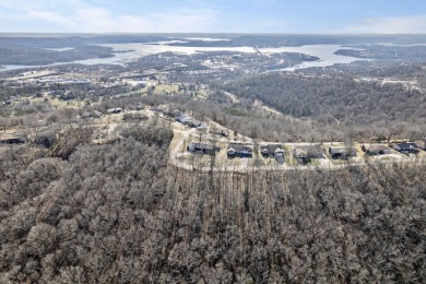 Ready for a new year where all the choices are truly yours?! on Kimberling City Golf Club in Missouri - for sale on GolfHomes.com, golf home, golf lot