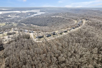 Ready for a new year where all the choices are truly yours?! on Kimberling City Golf Club in Missouri - for sale on GolfHomes.com, golf home, golf lot
