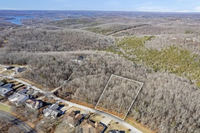 Ready for a new year where all the choices are truly yours?! on Kimberling City Golf Club in Missouri - for sale on GolfHomes.com, golf home, golf lot