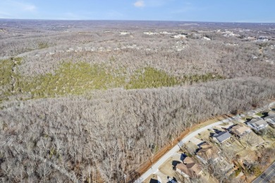 Ready for a new year where all the choices are truly yours?! on Kimberling City Golf Club in Missouri - for sale on GolfHomes.com, golf home, golf lot