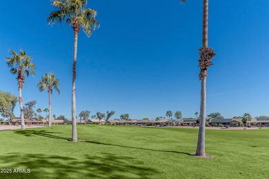Gorgeous golf views of TFE#3 including mountain & partial lake on Tuscany Falls At Pebble Creek in Arizona - for sale on GolfHomes.com, golf home, golf lot