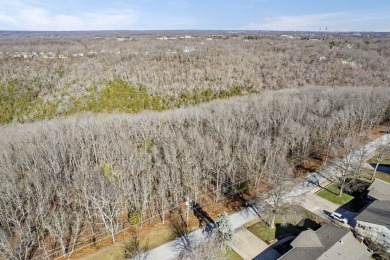 Ready for a new year where all the choices are truly yours?! on Kimberling City Golf Club in Missouri - for sale on GolfHomes.com, golf home, golf lot