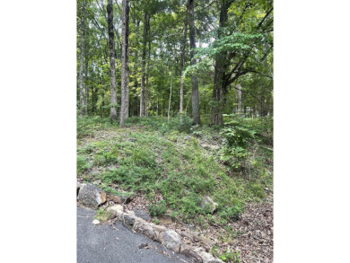What a unique property on a large, corner lot (3 lots replatted on Indian Hills Country Club in Arkansas - for sale on GolfHomes.com, golf home, golf lot