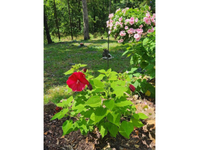 What a unique property on a large, corner lot (3 lots replatted on Indian Hills Country Club in Arkansas - for sale on GolfHomes.com, golf home, golf lot