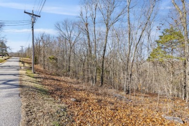 Ready for a new year where all the choices are truly yours?! on Kimberling City Golf Club in Missouri - for sale on GolfHomes.com, golf home, golf lot