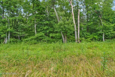 Great Lake Tansi lot! Nice sized level lot. Located on a paved on Lake Tansi Village Country Club in Tennessee - for sale on GolfHomes.com, golf home, golf lot