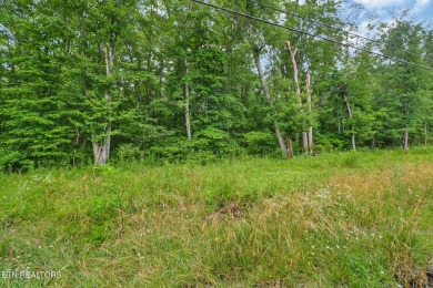 Great Lake Tansi lot! Nice sized level lot. Located on a paved on Lake Tansi Village Country Club in Tennessee - for sale on GolfHomes.com, golf home, golf lot