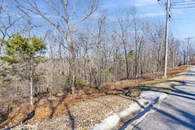 Ready for a new year where all the choices are truly yours?! on Kimberling City Golf Club in Missouri - for sale on GolfHomes.com, golf home, golf lot