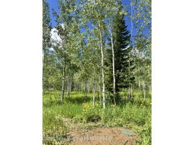 Two separate lots being sold as one for a total of 1.27 acres on Star Valley RV Golf Course in Wyoming - for sale on GolfHomes.com, golf home, golf lot