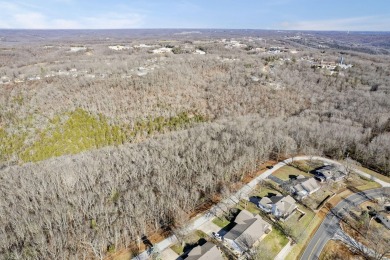 Ready for a new year where all the choices are truly yours?! on Kimberling City Golf Club in Missouri - for sale on GolfHomes.com, golf home, golf lot