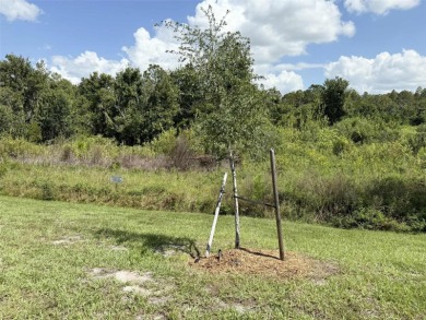 Under contract-accepting backup offers. Welcome to your dream on Harmony Golf Preserve in Florida - for sale on GolfHomes.com, golf home, golf lot