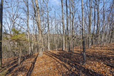 Ready for a new year where all the choices are truly yours?! on Kimberling City Golf Club in Missouri - for sale on GolfHomes.com, golf home, golf lot